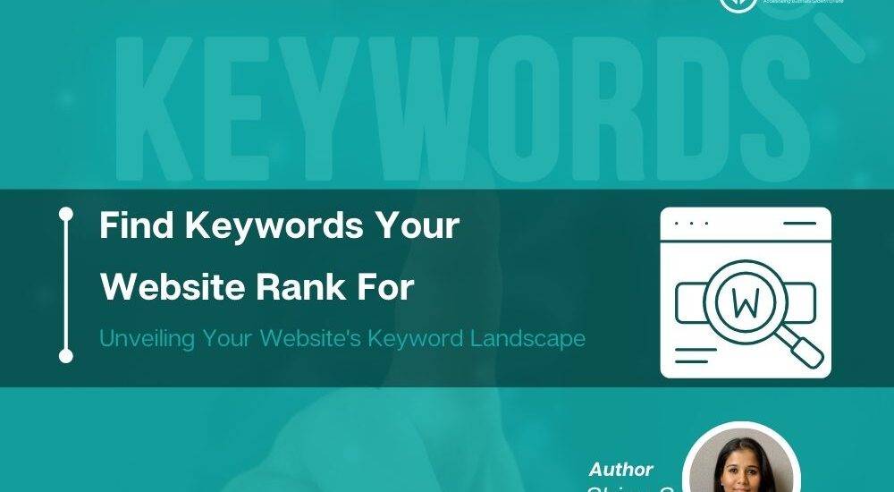 Find Keywords Your Website Rank For